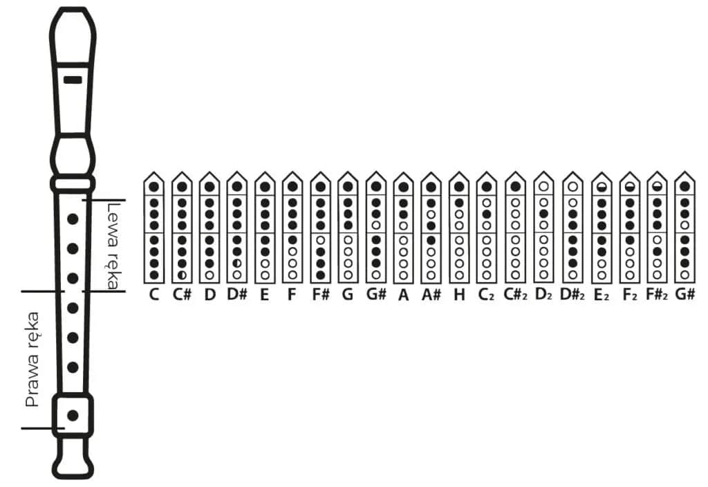 Jak zagrać B na flecie - proste techniki i wskazówki dla początkujących Jak zagrać B na flecie - proste techniki i wskazówki dla początkujących