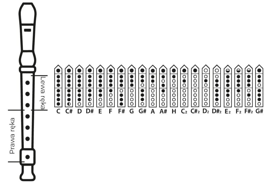 Jak zagrać B na flecie - proste techniki i wskazówki dla początkujących Jak zagrać B na flecie - proste techniki i wskazówki dla początkujących